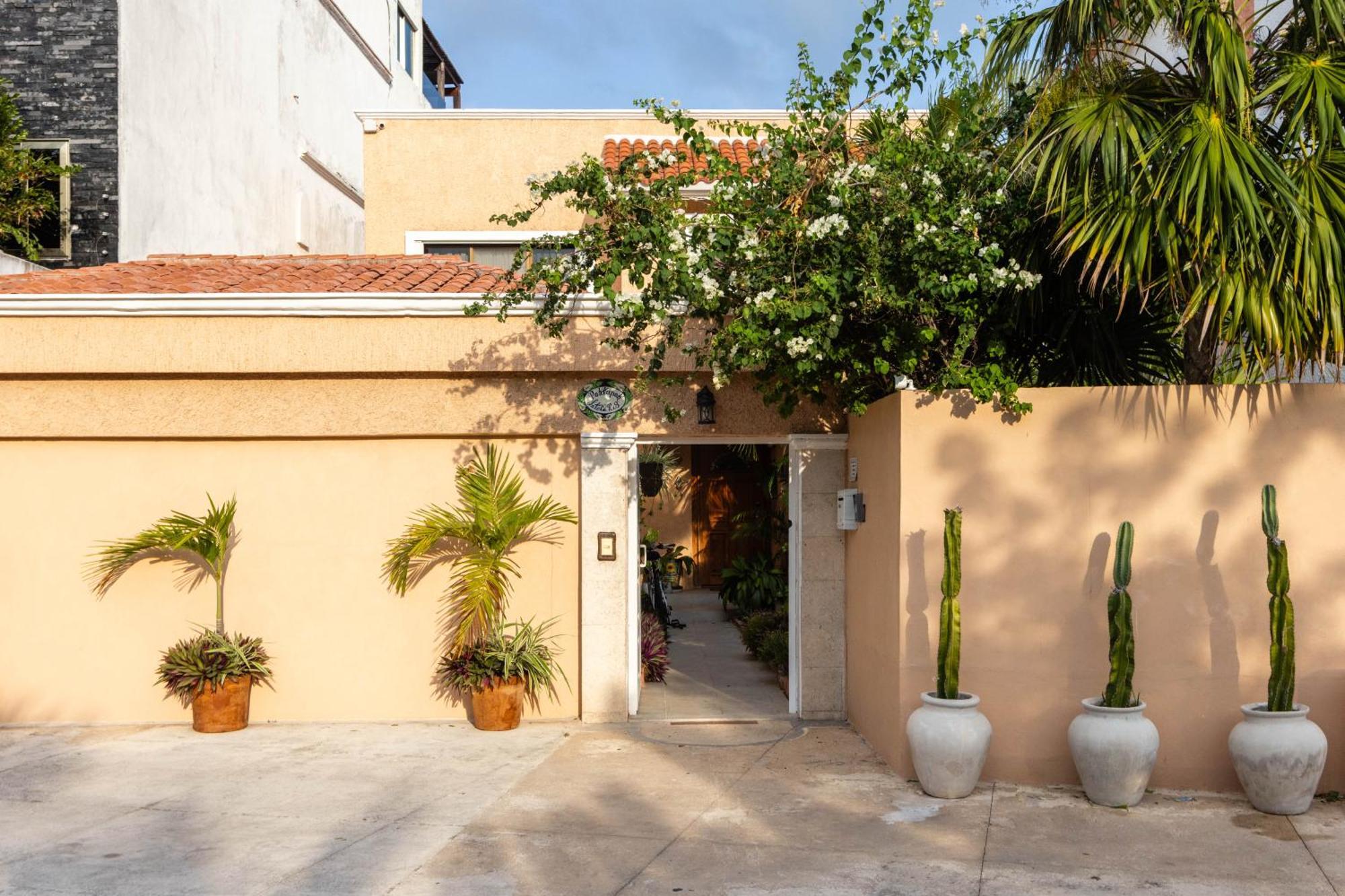 Magnifica Villa Palmeras Pok Ta Pok Zona Hotelera Cancun Exterior photo